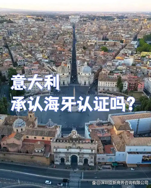 海牙认证