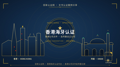 海牙认证