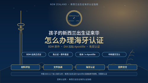 海牙认证
