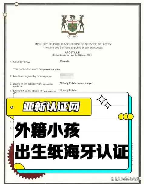 海牙认证