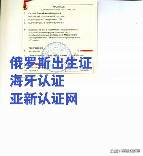 海牙认证