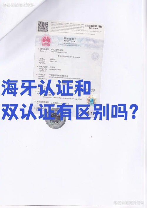海牙认证